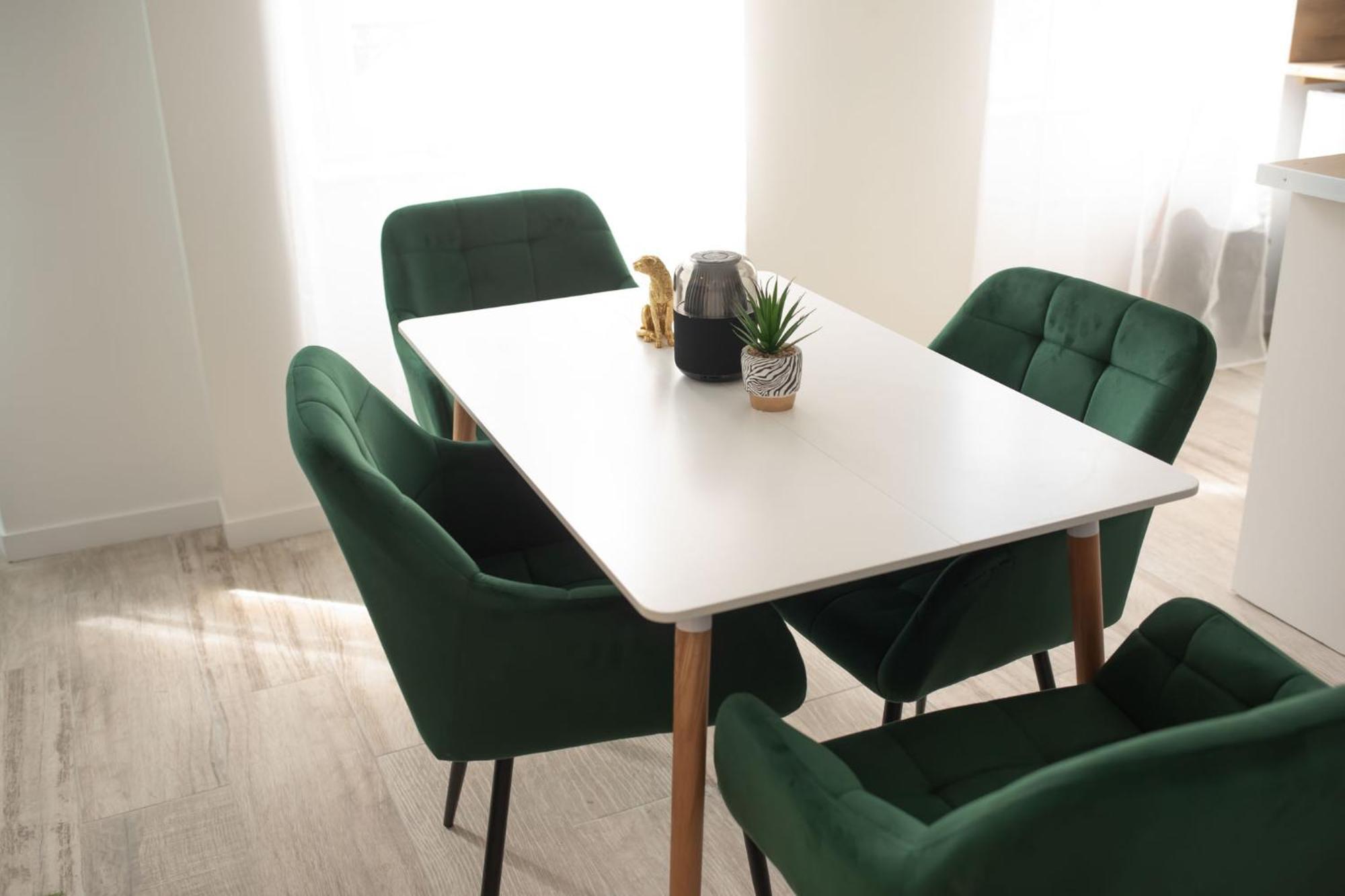 Jungle Appartement Lumineux Plein Centre Boulogne-sur-Mer Esterno foto
