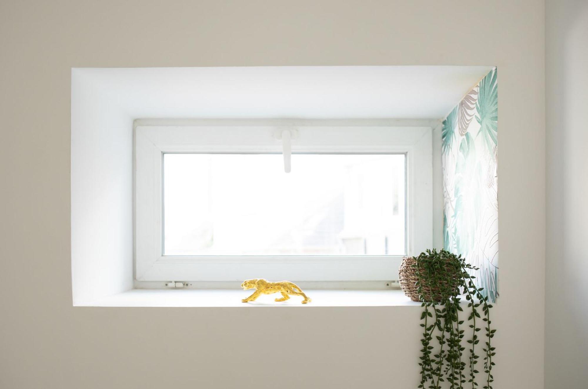 Jungle Appartement Lumineux Plein Centre Boulogne-sur-Mer Esterno foto