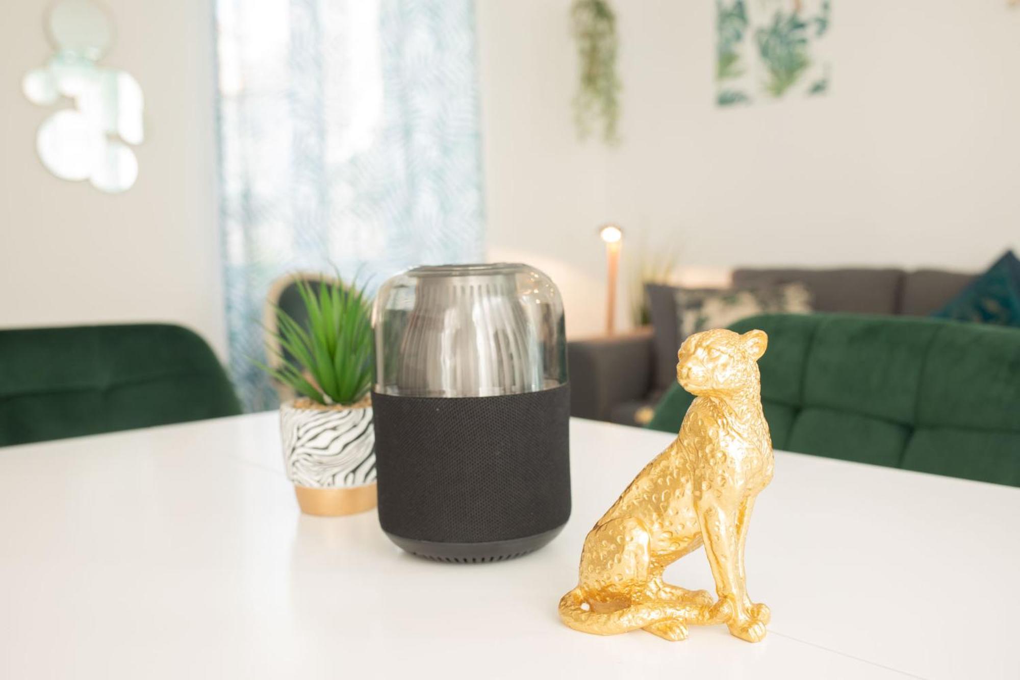Jungle Appartement Lumineux Plein Centre Boulogne-sur-Mer Esterno foto