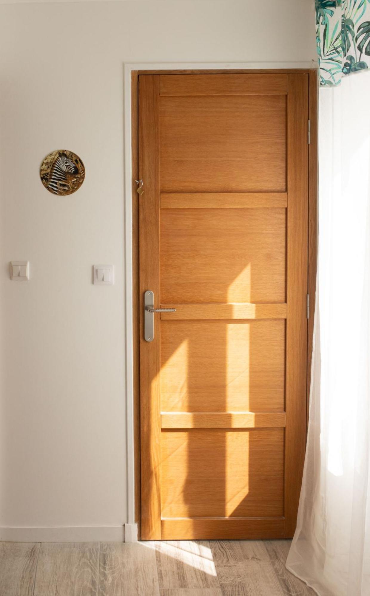 Jungle Appartement Lumineux Plein Centre Boulogne-sur-Mer Esterno foto