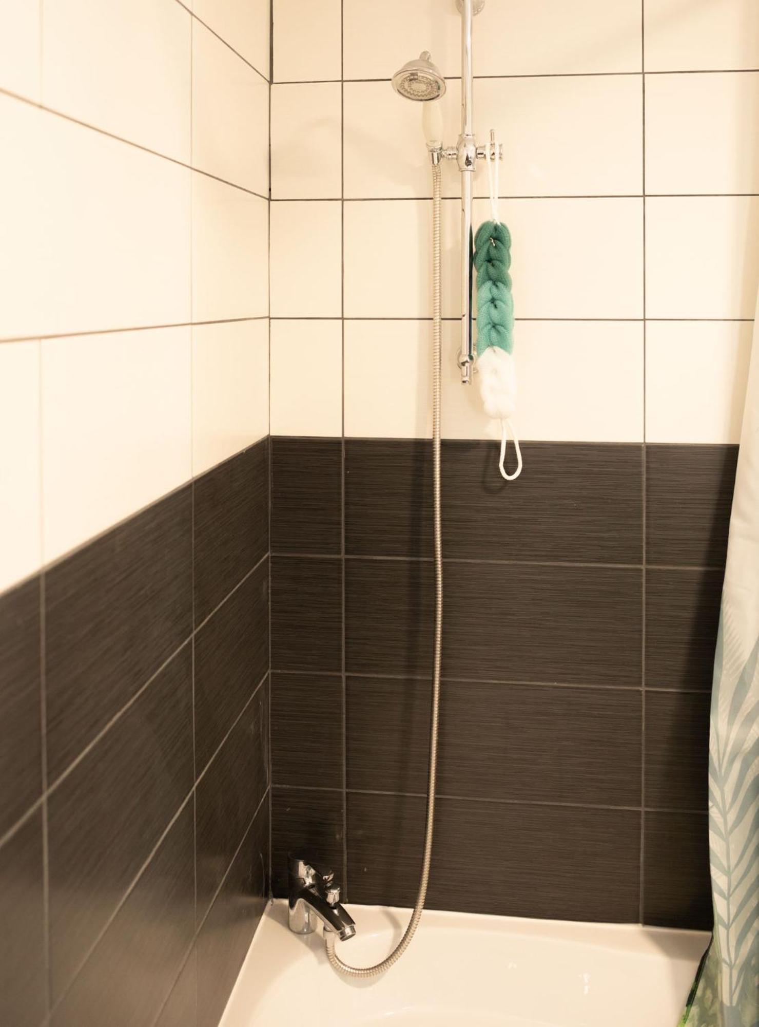 Jungle Appartement Lumineux Plein Centre Boulogne-sur-Mer Esterno foto
