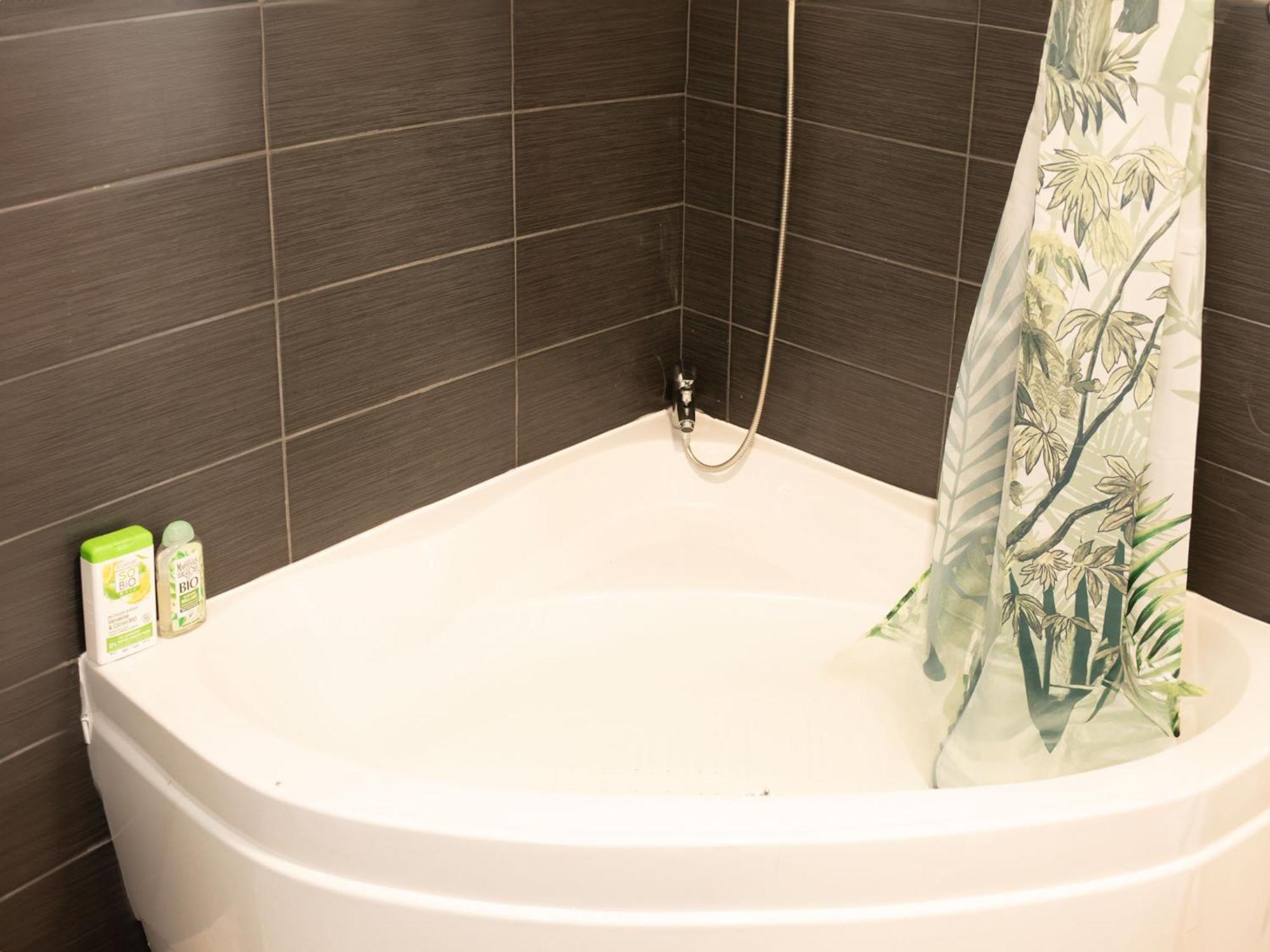 Jungle Appartement Lumineux Plein Centre Boulogne-sur-Mer Esterno foto