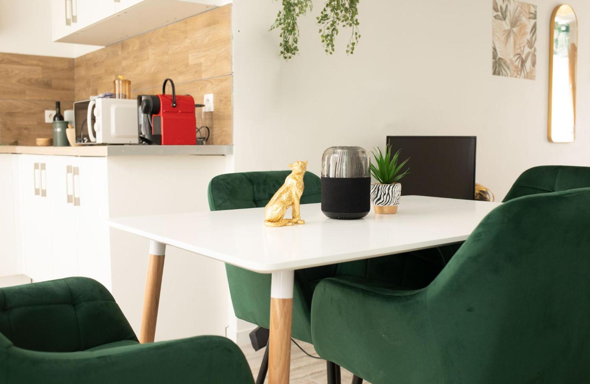 Jungle Appartement Lumineux Plein Centre Boulogne-sur-Mer Esterno foto